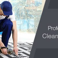 Hire-professional-carpet-cleaning